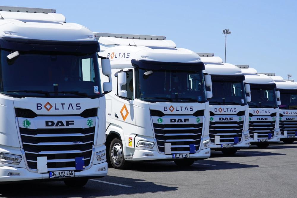 image (21) image (21)