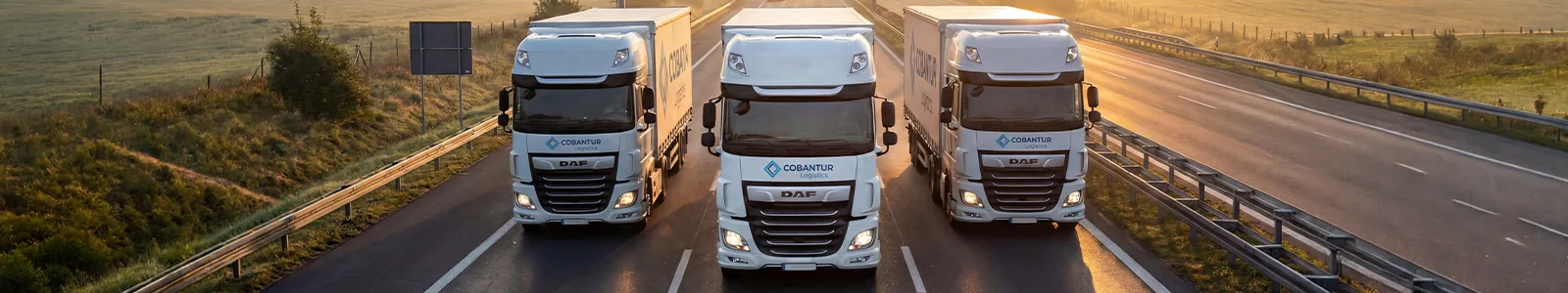 Distribuție internă